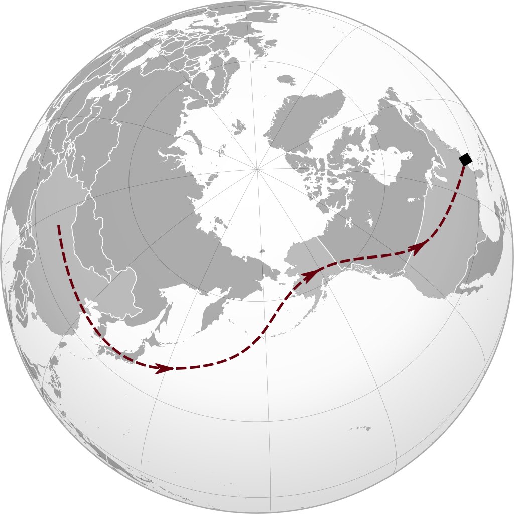Possible route of the balloon, launched form somewhere in China, floating over Japan, north up past Alaska, through the Yukon territory and British Colombia in Canada, before crossing the border into the United states, ending path just above South Carolina