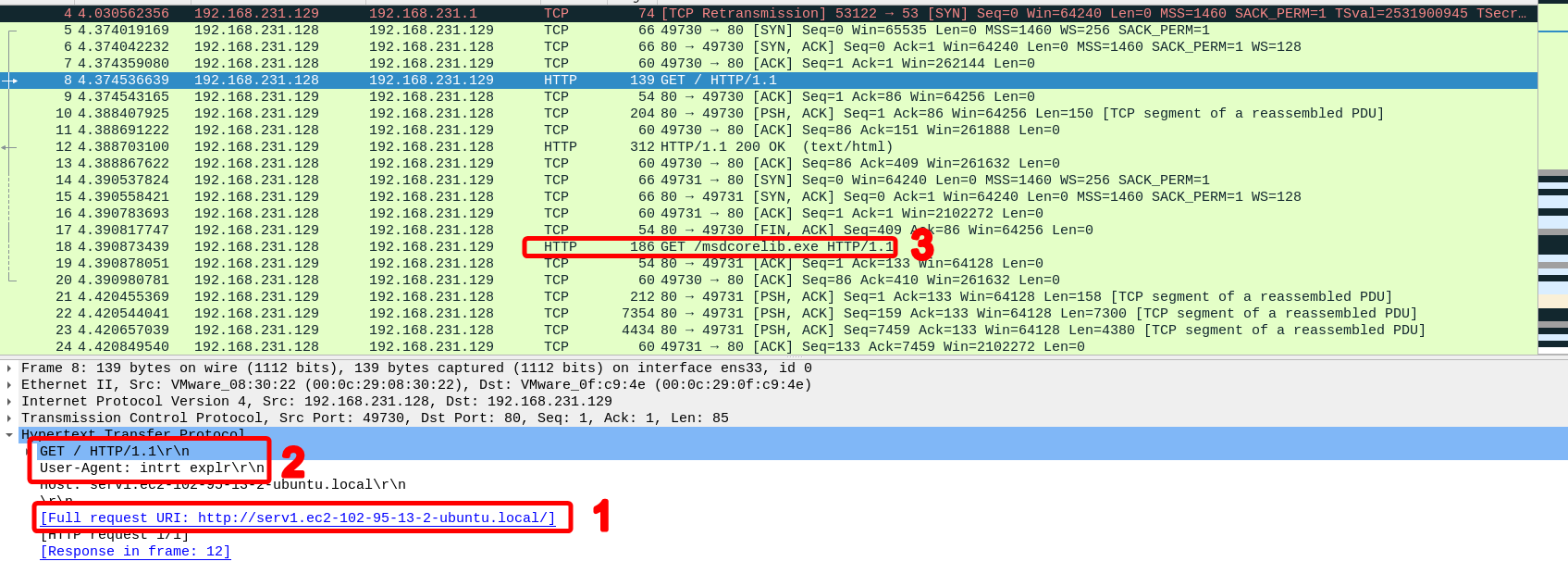 GET Request the malware sends, as seen in Wireshark