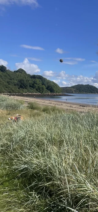 A wider shot of the same image, some grass in the bottom of the shot, some hills off to the left and in the centre, and a dog running through the grass in the left of the shot