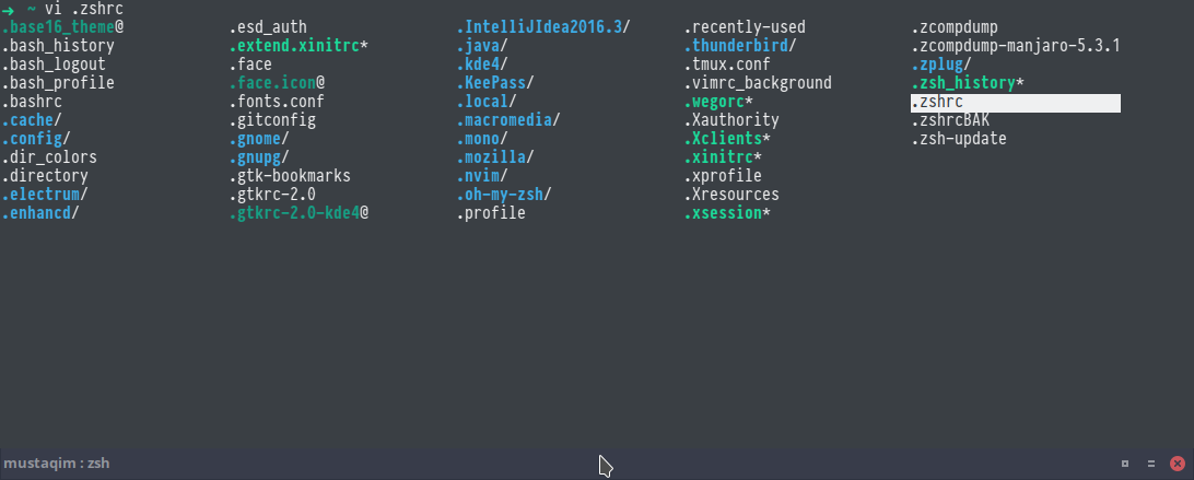 An example of Tab completion in Zsh